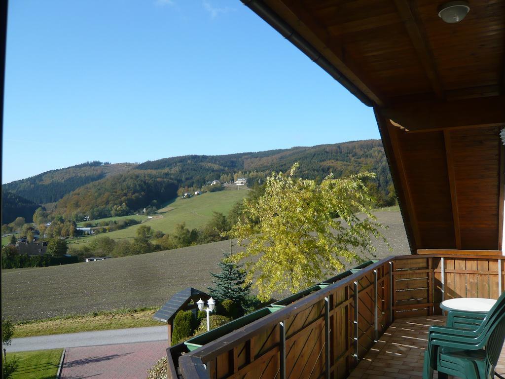 Haus Talblick Villa Willingen  Exterior photo